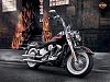 Buying a New Softail - Deluxe vs Heritage-image-82219322.jpg