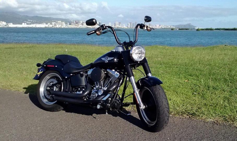 harley fatboy with ape hangers