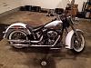 What did you do to Your Softail Today?-profile.jpg