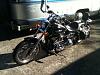 1987 Harley Softail-hd4.jpg