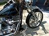 What did you do to Your Softail Today?-ss-002.jpg