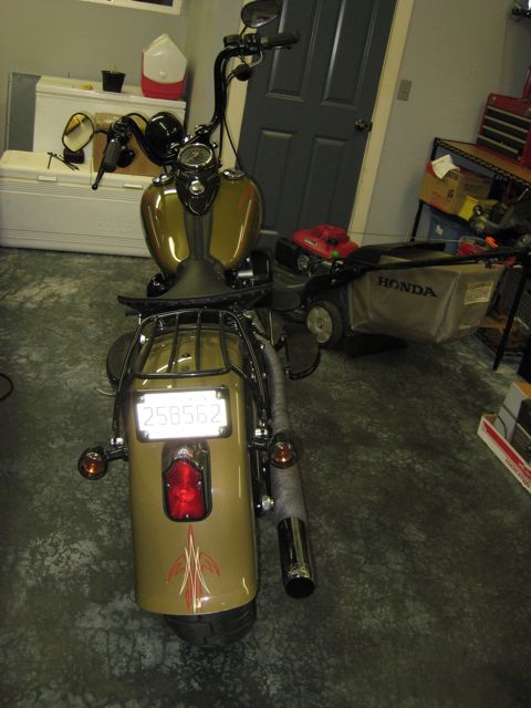 Custom rear fender for Cross Bones???? - Page 3 - Harley Davidson Forums