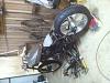 Softail rebuild-image.jpg