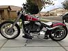 Lets see those Softail Bobbers-photo.jpg