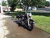 Pics of softails with road king headlight nacelle added?-11407137_10207087772696813_7110560142627567401_n.jpg
