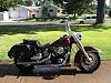 Pics of softails with road king headlight nacelle added?-11535884_10207087781457032_8390250949517958794_n.jpg