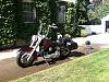 Pics of softails with road king headlight nacelle added?-11406928_10207087783577085_42615906921362780_n.jpg