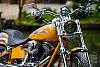 Softail Deuce Owners- post them pics...-dsc_9051.jpg