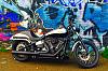 Softail Deuce Owners- post them pics...-photo728.jpg