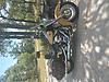 What did you do to Your Softail Today?-20170621_120238.jpg