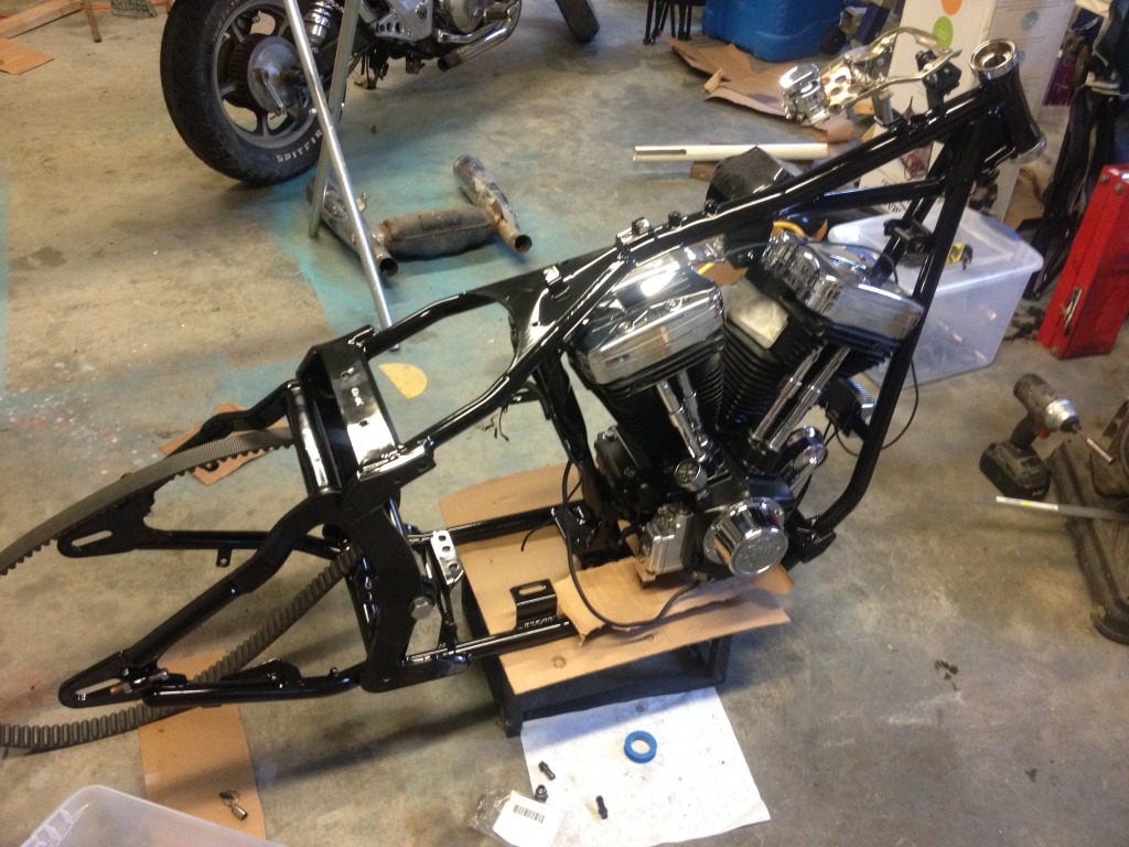 Sportster softail deals conversion