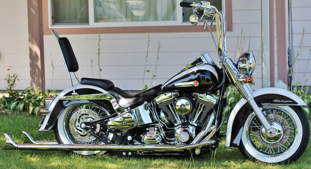 sissy bar softail deluxe