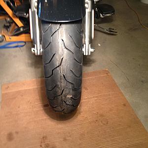 Softail rubber-img_2580.jpg