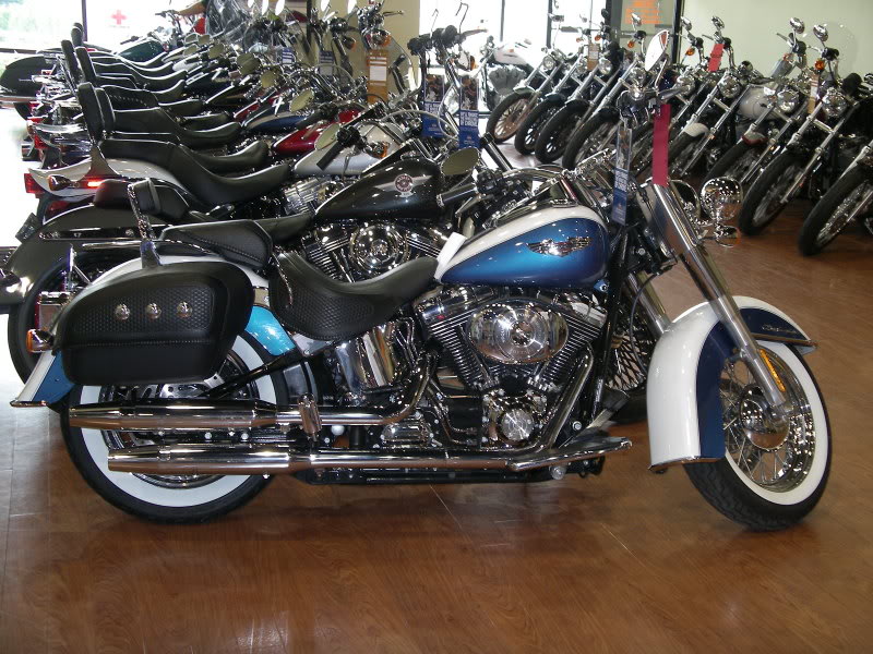 Name:  bikeatdealershipIII.jpg
Views: 447
Size:  135.2 KB