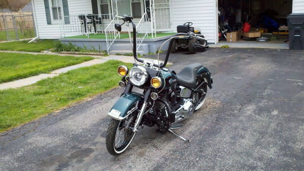 gangster softail deluxe for sale