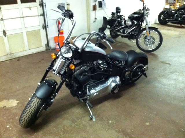 Sporty tank on a Softail - Page 7 - Harley Davidson Forums