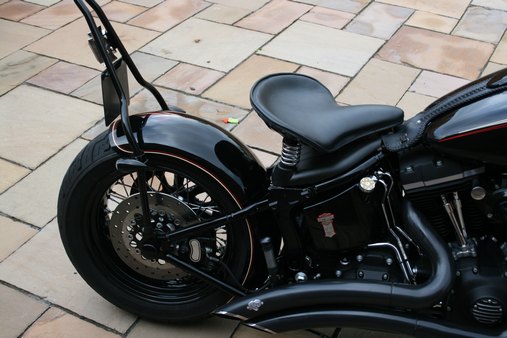 harley crossbones rear fender