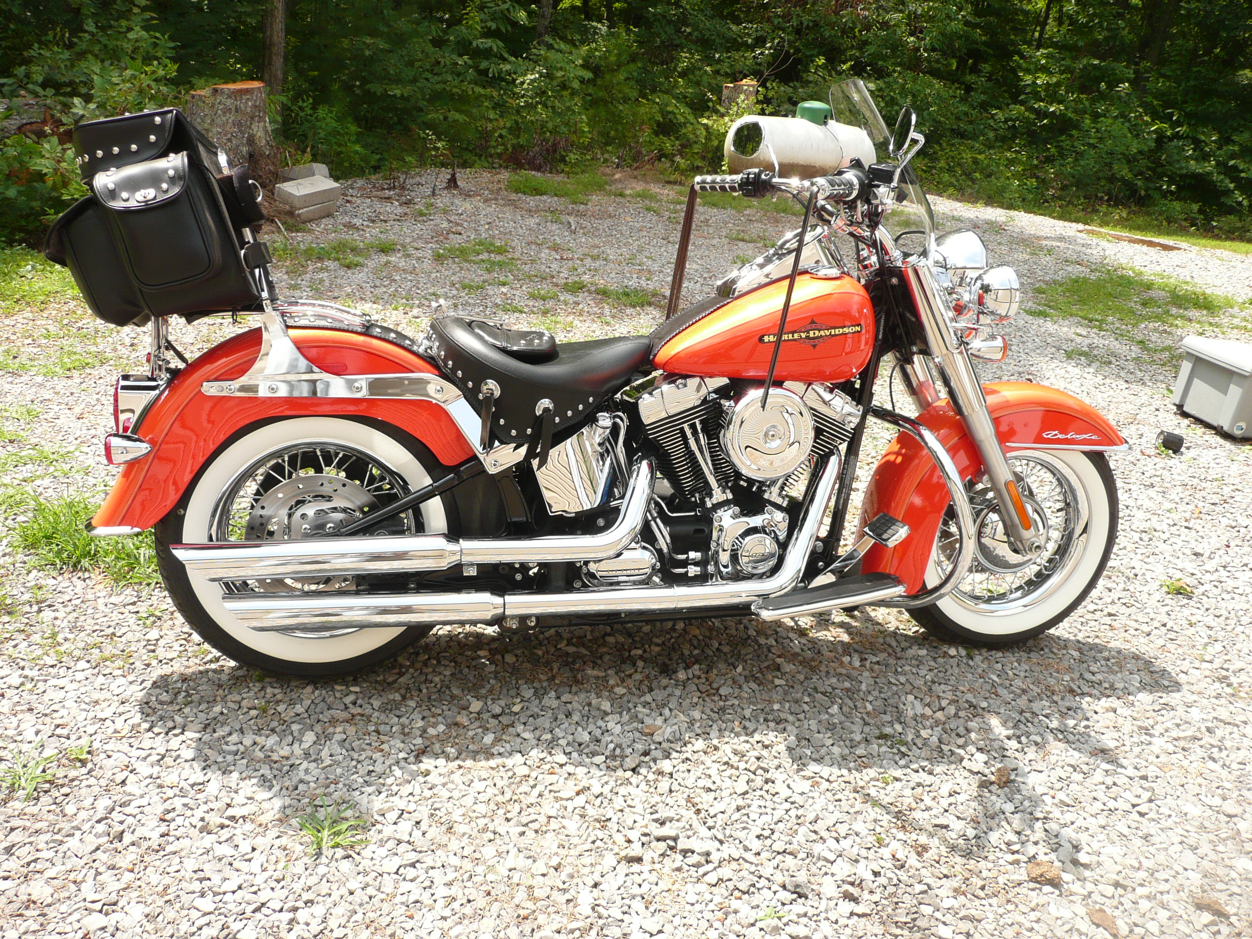 sissy bar softail deluxe