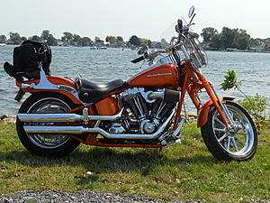 07 CVO Springer Apes-004.jpg