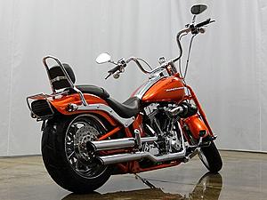 07 CVO Springer Apes-cvobg_800.jpg