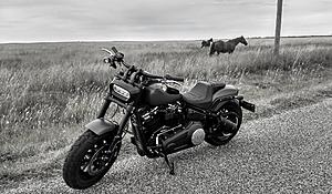 Show your favorite pic of your Softail, just one-22538585_10104828883790089_4685834791938973120_o.jpg