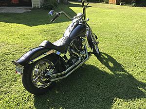 Softail Springer-ccc67e66-a978-4836-98cf-e0f88bd868b9.jpeg