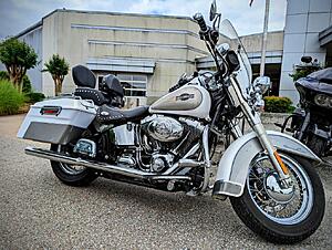 What did you do to Your Softail Today?-jdertxw.jpg