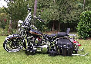 Post up your favorite photo of your softail.-rxcvtvf.jpg