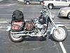 To bag my Fatboy or not?-dsc01342c.jpg