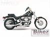 how old is the softail? 1984??-softail.jpg