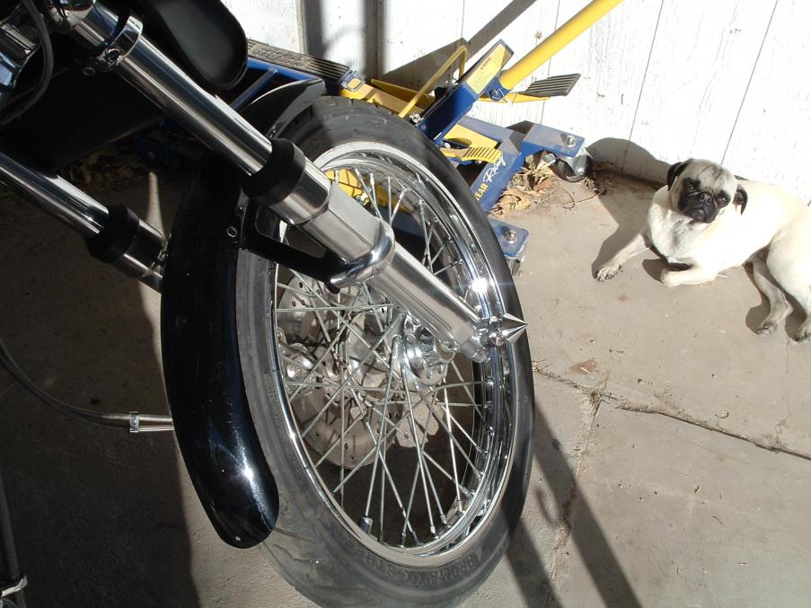 spiked axle nut covers harley davidson