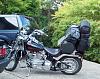 Like your Softail Customs?-100_0370.jpg