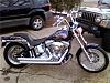 How bout Softail Custom Pics?-iuir.jpg