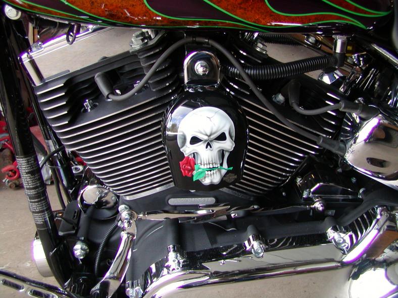 harley fatboy cover