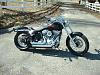 New Softail Member-dscf0003-large-.jpg