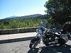 Softail-windshield-1.jpg