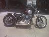  Softail Standard Pictures-img00412.jpg