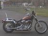  Softail Standard Pictures-img00305.jpg