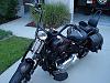  Crossbones Pictures-harley-crossbones.jpg