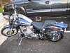  Softail Standard Pictures-img_6252.jpg