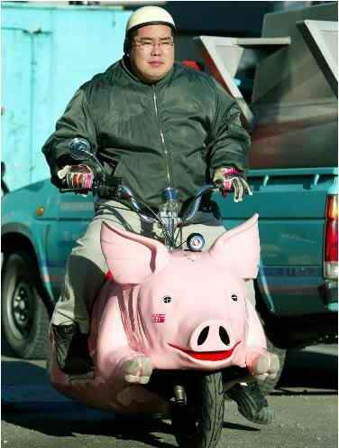 Name:  pig_bike.jpg
Views: 241
Size:  19.6 KB