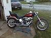  Softail Custom Pictures-img00203.jpg