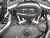 **How Many Iron 883 Owners Out There?**-img_1267.jpg