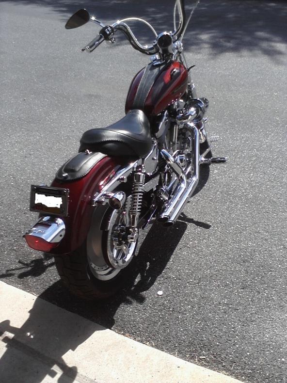 sportster rear fender bib