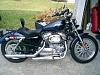 C&amp;C Solo or Mustang Vintage Solo (Iron 883)-sportster.jpg