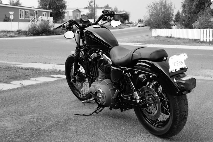 Badlander sportster shop