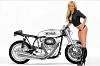 Official Sportster Cafe Racer Picture Thread-norley_cafe_racer_sportster.jpg