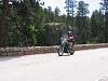 long distance rides on a Sportster?-custer-park.jpg