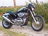 Sportster Street Racer-2003-xl1200c.jpg