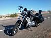 anyone with saddlebags on your sporty, any pics ?-photo975.jpg